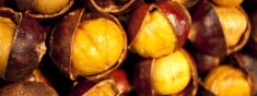 CASTAGNATA D’AUTUNNO
