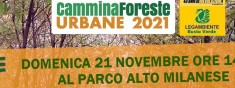 Escursione alla scoperta del Parco Alto Milanese