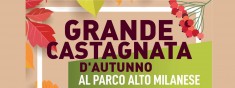 Grande castagnata d’autunno