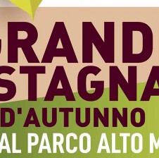 GRANDE CASTAGNATA D’AUTUNNO
