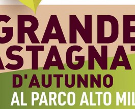 GRANDE CASTAGNATA D’AUTUNNO