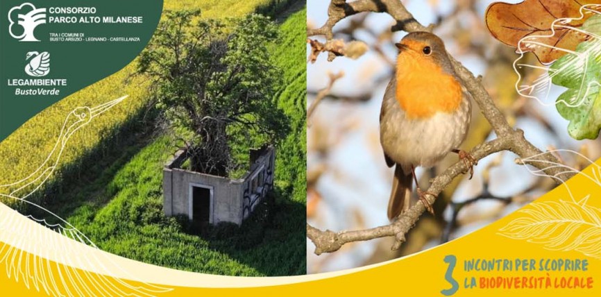 L’avifauna del Parco Alto Milanese e Corso di birdwatching