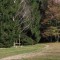 INAUGURAZIONE DEL PERCORSO “LA BIBLIOTECA VERDE” E LA “STANZA NEL BOSCO”