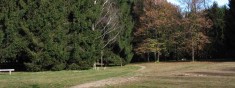 INAUGURAZIONE DEL PERCORSO “LA BIBLIOTECA VERDE” E LA “STANZA NEL BOSCO”