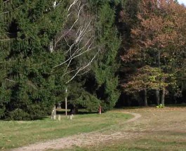 INAUGURAZIONE DEL PERCORSO “LA BIBLIOTECA VERDE” E LA “STANZA NEL BOSCO”