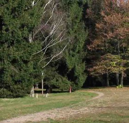 INAUGURAZIONE DEL PERCORSO “LA BIBLIOTECA VERDE” E LA “STANZA NEL BOSCO”