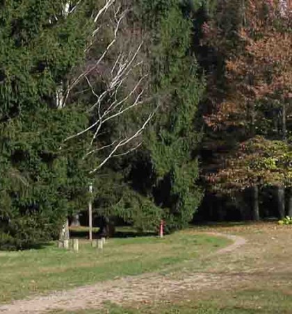 INAUGURAZIONE DEL PERCORSO “LA BIBLIOTECA VERDE” E LA “STANZA NEL BOSCO”