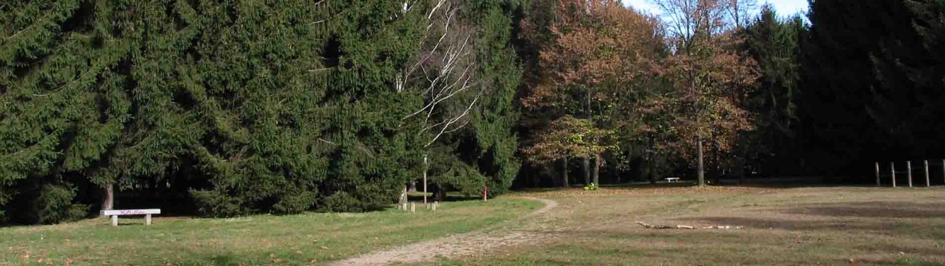 INAUGURAZIONE DEL PERCORSO “LA BIBLIOTECA VERDE” E LA “STANZA NEL BOSCO”