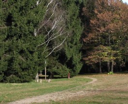 Il BOSCO tra le Città, valori e prospettive per l’Alto Milanese