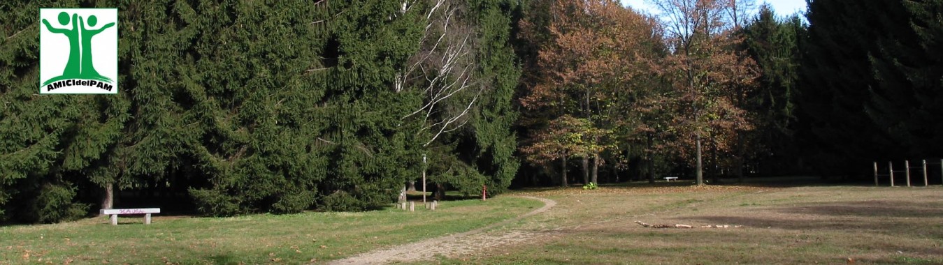 Il BOSCO tra le Città, valori e prospettive per l’Alto Milanese