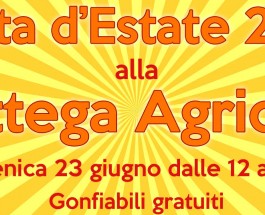 Festa d’Estate 2019