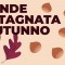 GRANDE CASTAGNATA D’AUTUNNO 2024