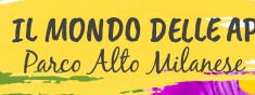 IL MONDO DELLE API