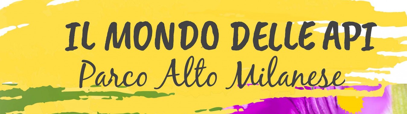 IL MONDO DELLE API