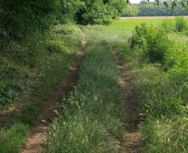 ALLA SCOPERTA DEI SEGRETI DEI BOSCO