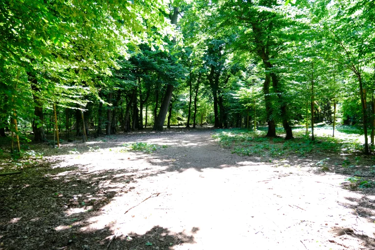 Area del Roccolo all'interno del Parco