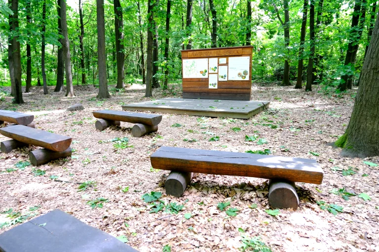 Palco per relatore nella stanza nel bosco