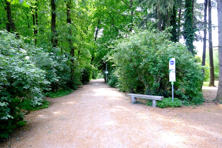 Viale alberato con dettaglio panchina