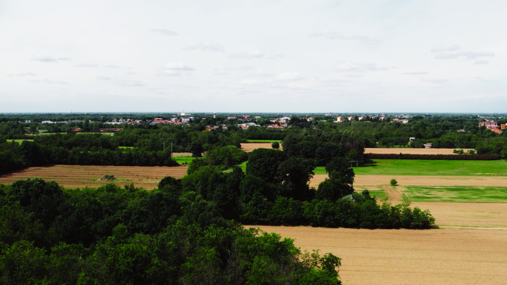 Copertina sezione video